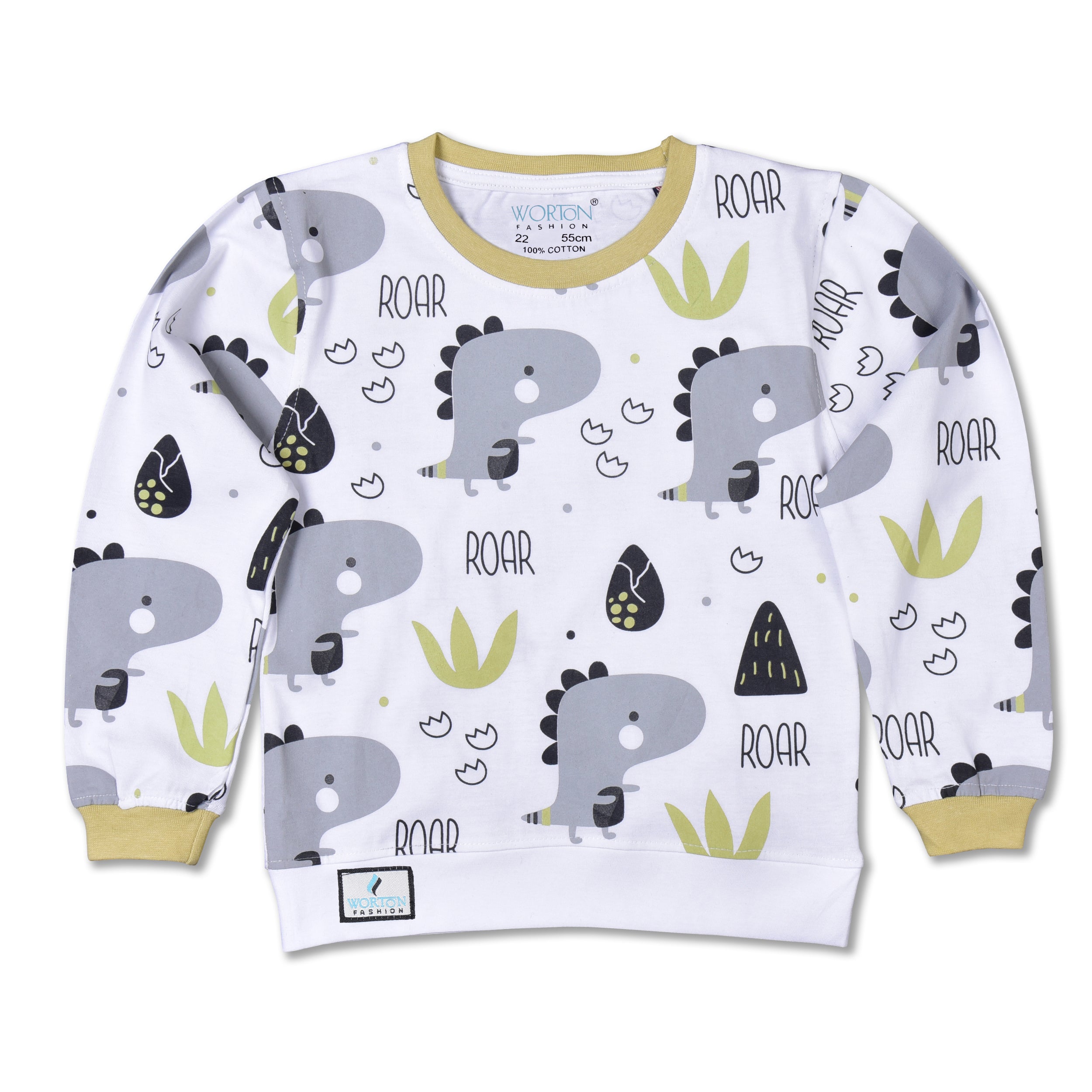 Boys Full Sleeves Tshirt